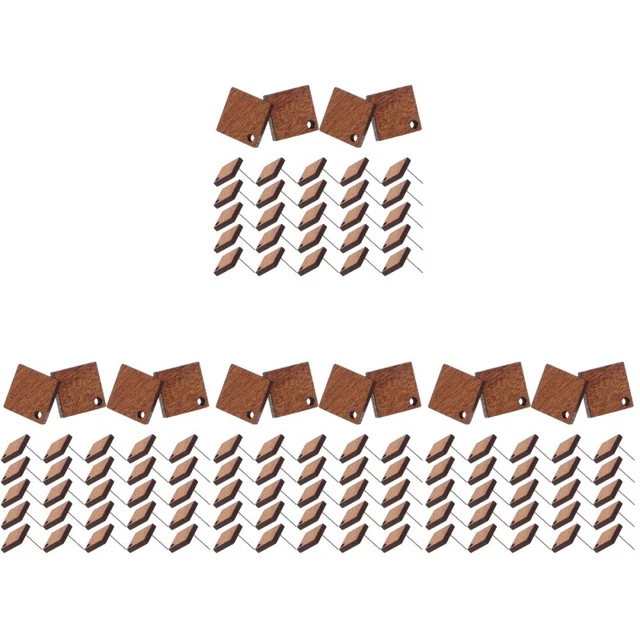120 PCs Holzohrohrringe Schmuck Herstellung Holzohrschstene Holzohr -Hengst DIY