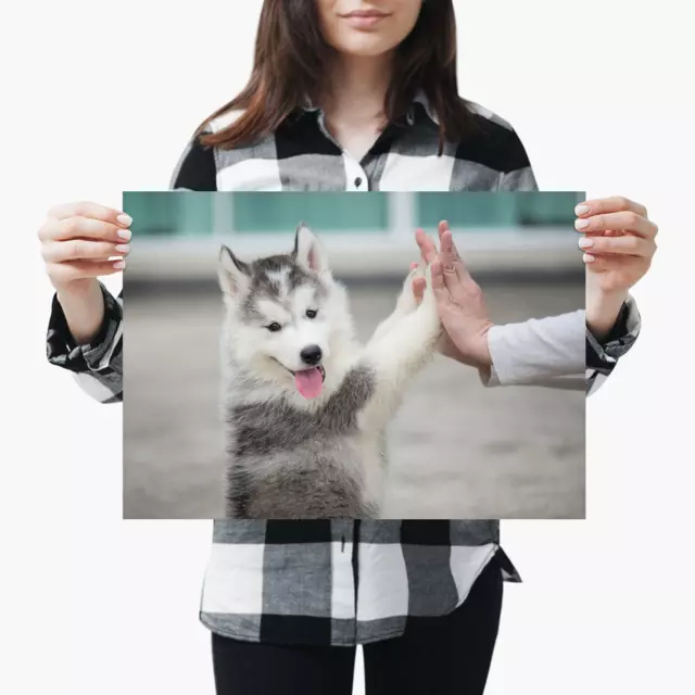 A3| Funny Husky Dog Puppy Training - Size A3 Poster Print Photo Art Gift #2695