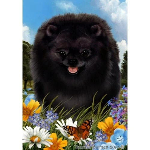 Summer Garden Flag - Black Pomeranian 182551