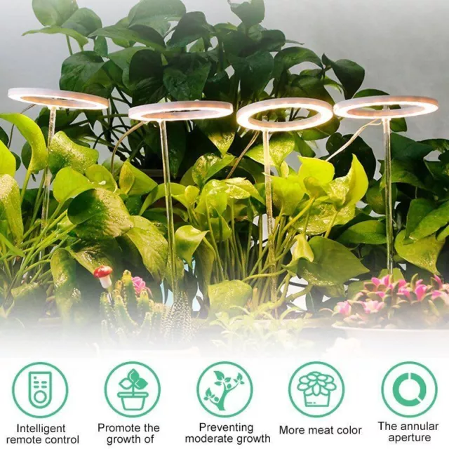 Angel Ring Grow Light Phytolamp For Plants Led Full Spectrum Lamp