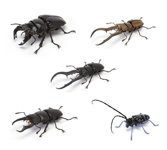 IKIMONO ENCYCLOPEDIA KUWAGATA 04 [5 Types Set (Full Complete)] Capsule