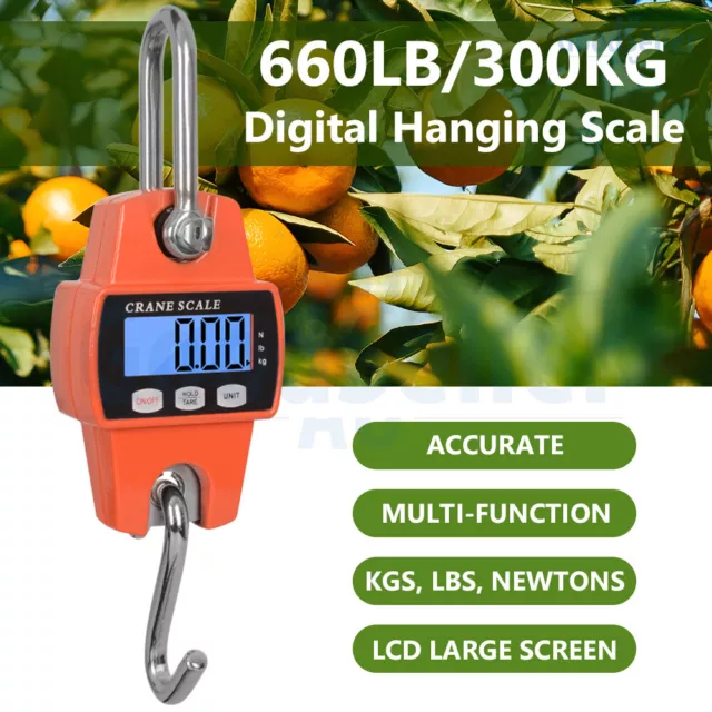 Digital Crane or Hook Weighing Scales — Scintex Australia