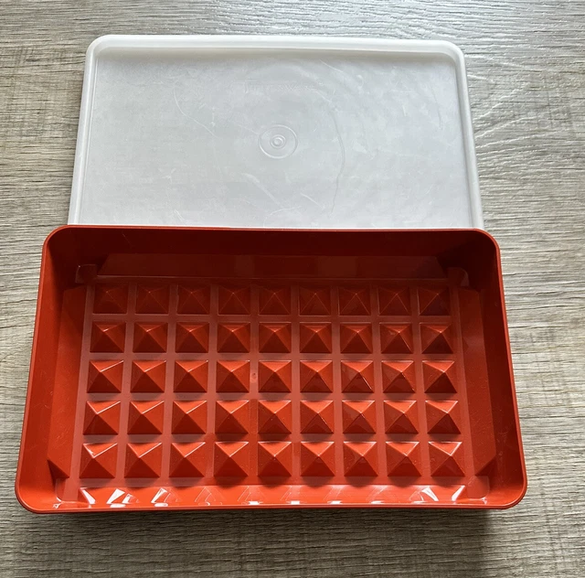VINTAGE TUPPERWARE 9& x 5" Deli Meat Keeper Container with Seal Paprika