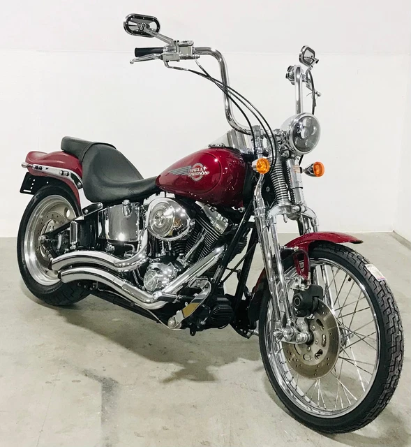 2006 harley davidson softail custom