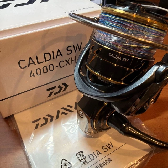 Moulinet Toupie Daiwa 22 CALDIA SW 10000-H - Moulinet Spinning, Occasion, Taille 10000