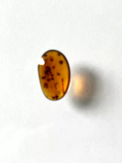 Rare insect included ancient Myanmar natural amber pebble polished Pea shape