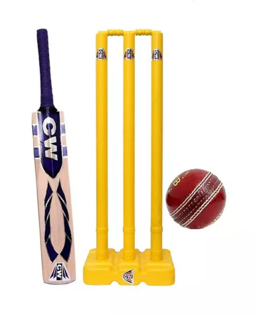 Pitch Kashmir Willow Set Cricket Equipment Sports Training Set Bat Ball Wickets