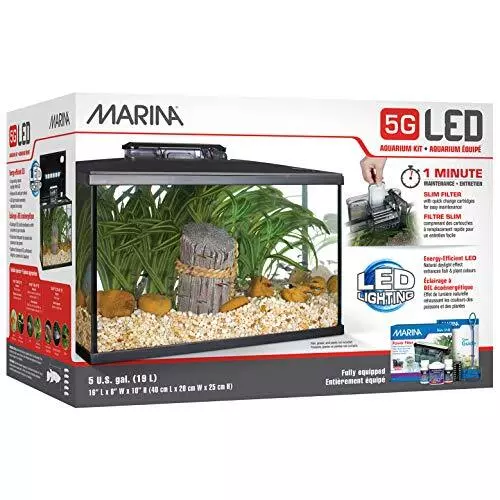 5 Gallon (19 L) LED Aquarium Kit – Ideal for Beginner Aquarists and New Fish-...