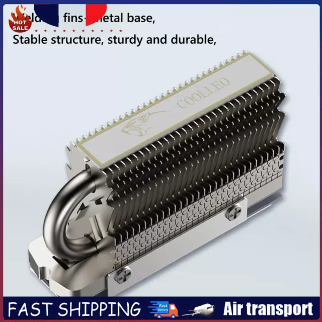 Heat Sink Antigravity Heat Pipe SSD Radiator Use for M.2 2280 Solid State Drive