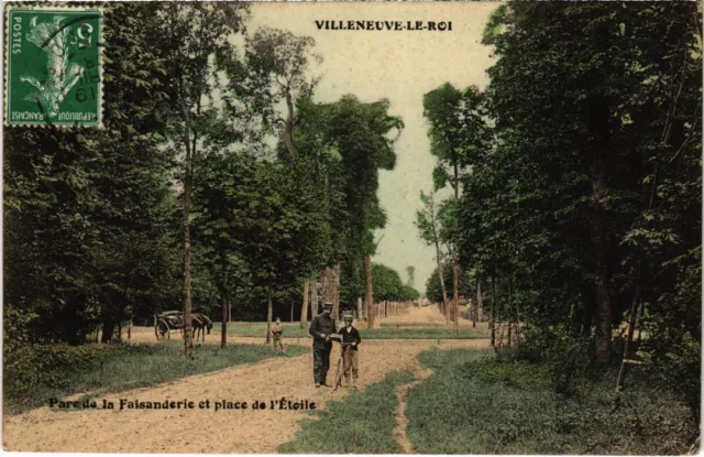 CPA AK Villeneuve le Roi Parc de la Faisanderie FRANCE (1283333)
