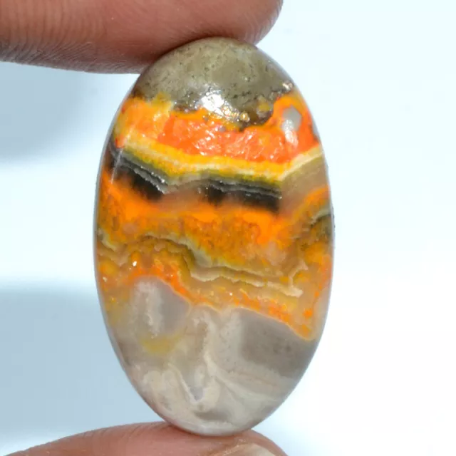 Cts. 40.00 Natural Eclipse Bumble Bee Jasper Cabochon Oval Cab Loose Gemstone