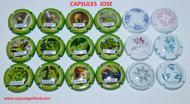 News - 2 Séries = 18 Capsules de champagne GENERIQUE (Stades et Porcelaine)