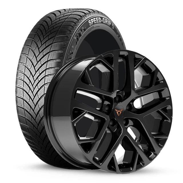 Winterrder Cupra Formentor
