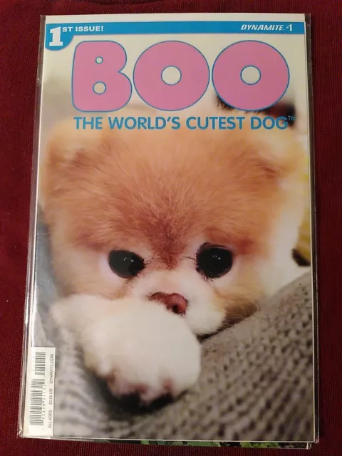 BOO THE WORLD'S Cutest Dog 2017 Wall Calendar 16 Months New Sealed Free S/H  £8.36 - PicClick UK
