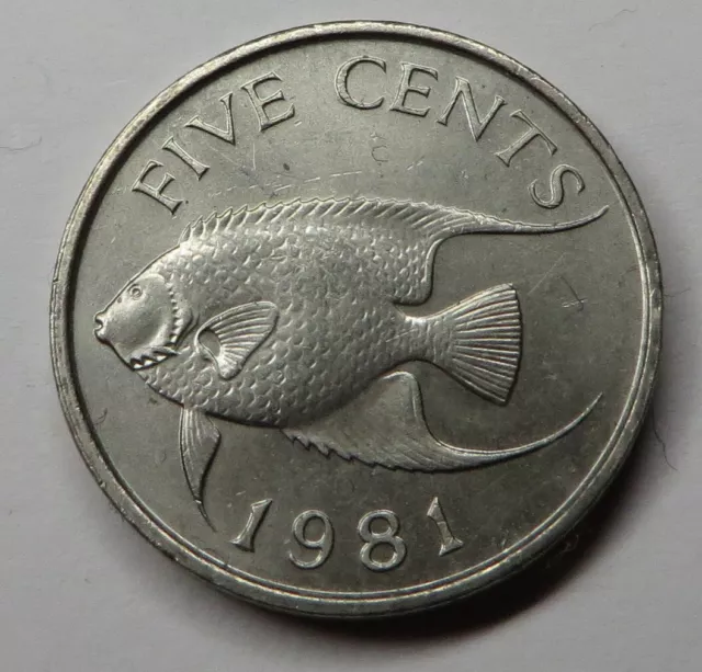 Bermuda 5 Cents 1981 Copper-Nickel KM#16 aUNC