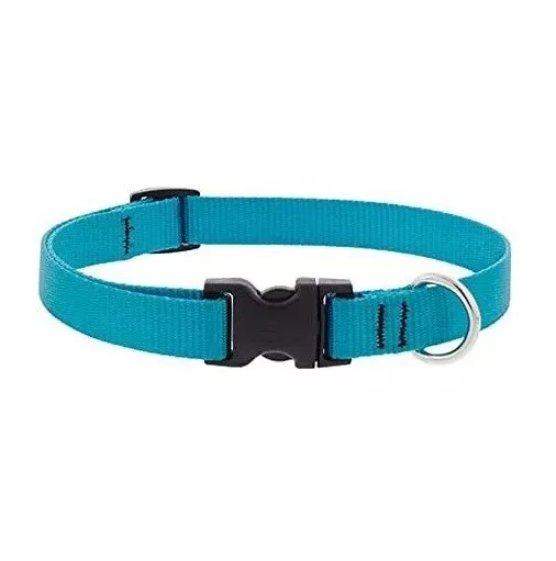 Lupine Pet Basics 1/2 inch Aqua 8"-12" Adjustable Collar for Small Pets