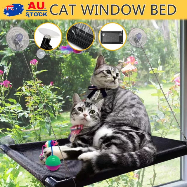 Pet Cat Window Hammock Perch Bed Hold Up To 60lbs Mounted Durable Seat + Rug Mat