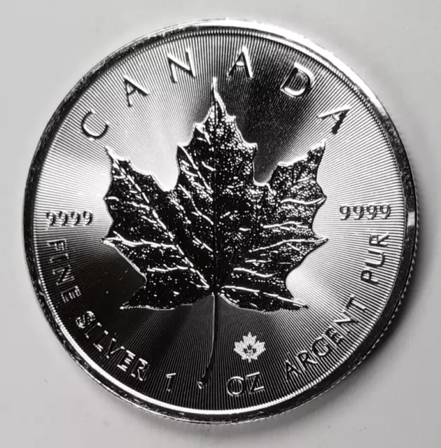2023 Canadian Maple Leaf 1 Troy ounce $5 Brilliant Uncirculated Fast + Free Ship