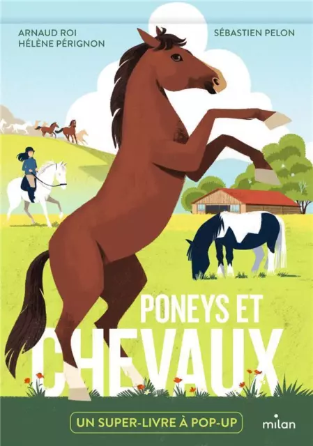 poney anglais pony - LAROUSSE