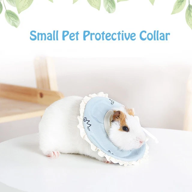Cône de cou mignon Col de récupération Collier pour animaux de compagnie