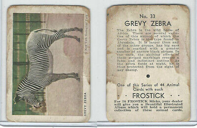 F55 Frostick, Animal Cards, 1933, #33 Grevy Zebra