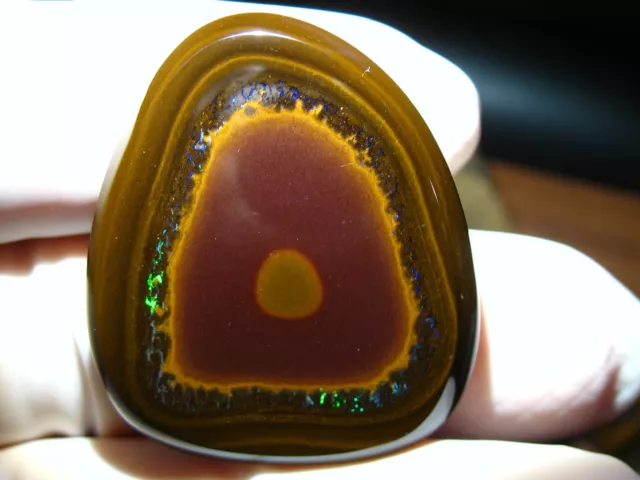 81,55cts GEM Yowah NUSS Opal Boulder Matrix VORSCHAU VIDEO FEUERWERK