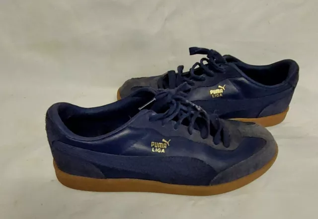 Puma nemus 2025