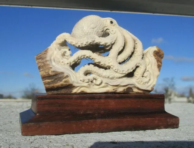 Tintenfisch , Oktopus aus Hirschhorn geschnitzt auf Holzsockel !