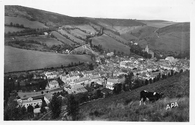 CHAUDES-AIGUES - Cantal - vue générale -