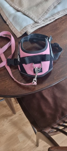 Julius-K9 IDC - Power Harness Size Mini  - Pink - with leads Bundle