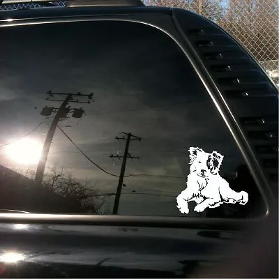 Border Collie herding dog Sheepdog trial vinyl decal sm