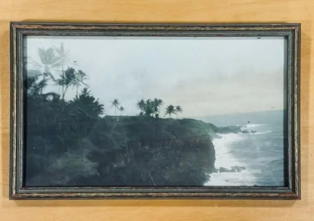 Rare 1920'S Photo Hamakua Coast Hawaii - No Reserve!