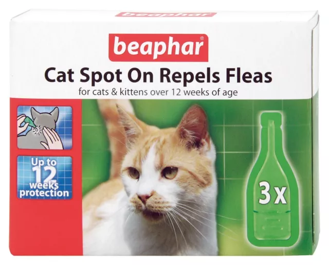 Beaphar chat chatons Spot On Traitement REPOUSSE puces 12 semaines protection