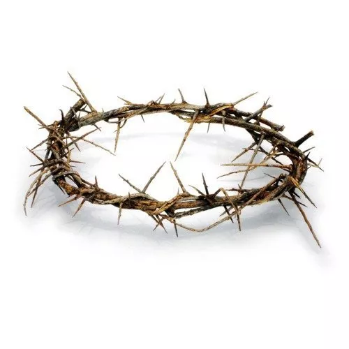 Passion of Christ Crown of Thorns/Authentic Crown of Thorns Comes in Gift Box...