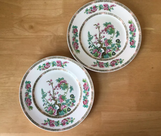 Vintage Maddock “Indian Tree” ( 1930’s ) - 2 x 25cm Dinner Plates