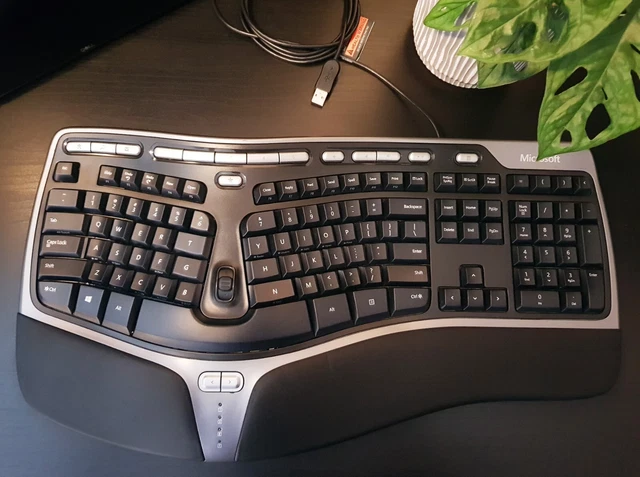 MICROSOFT NATURAL ERGONOMIC Keyboard 4000 (US Layout) with Riser, USB ...