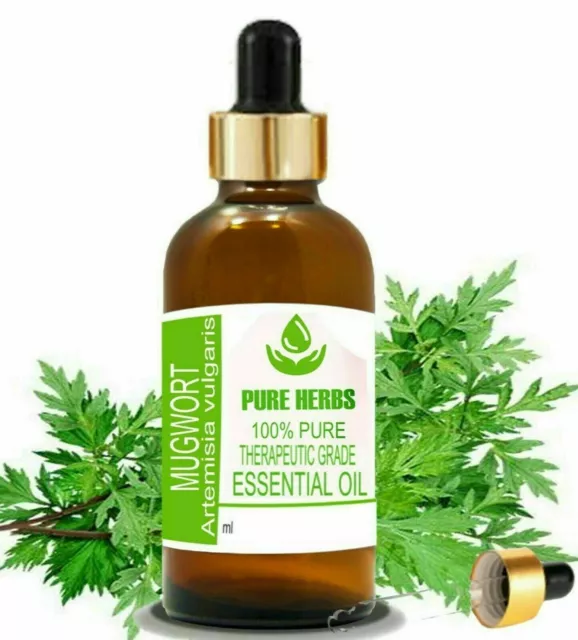 Pure Herbs Mugwort 100%Pure & Natura Artemisia Vulgaris Essential Essential Oil