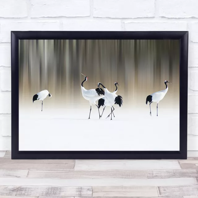 Red Crested White Cranes Bird Crane Japan Snow Winter Group Birds Asia Art Print