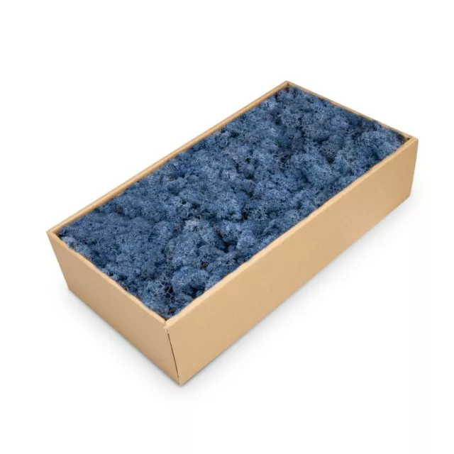 NaDeco Islandmoos Blau 500g | Rentier Moos | Deko Moos | Bastel Moos