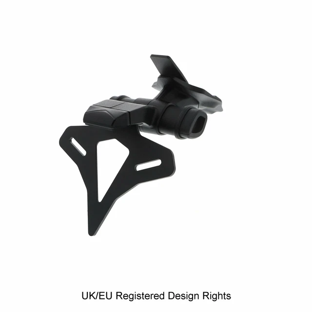 panigale v4 tail tidy