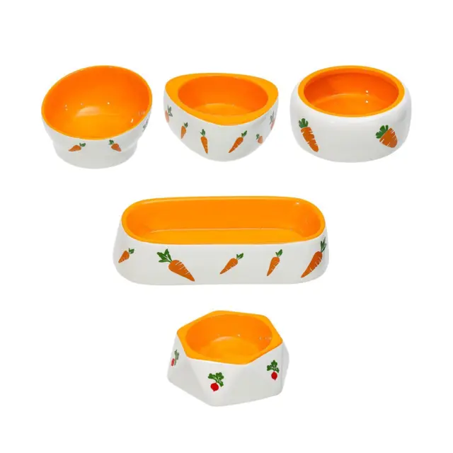 Rabbit Feeder Bowl Drinker Cat Dog Water Food Bowl for Small Animals Ferrets