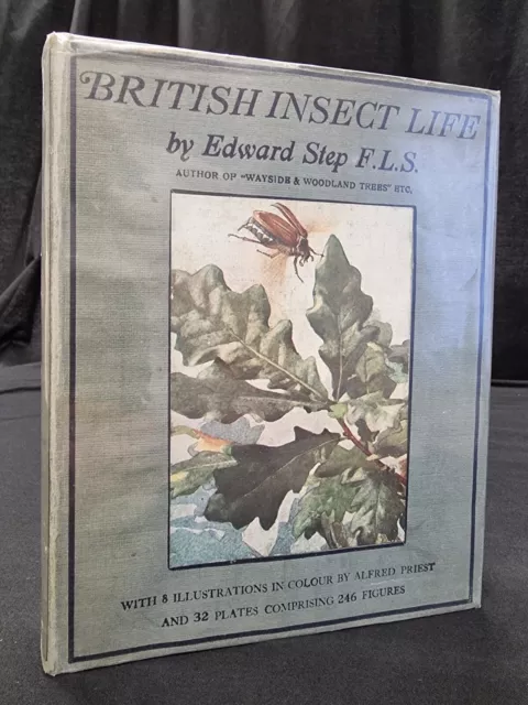 1929 BRITISH INSECT LIFE Entomology EDWARD STEP colour Plates with DUST JACKET