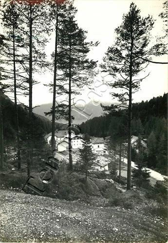 Cartolina di Stava (Tesero), panorama - Trento, 1965