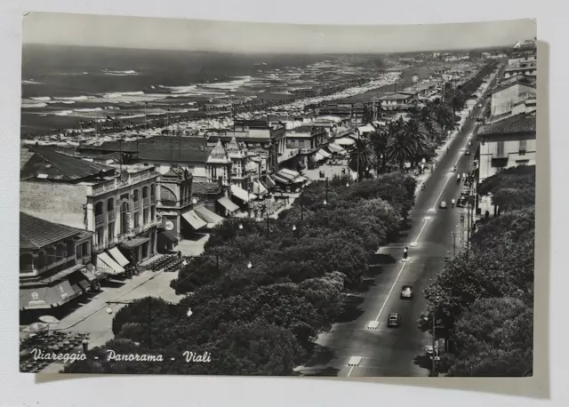 16786 Cartolina - Lucca - Viareggio - Panorama dei Viali - VG 1958