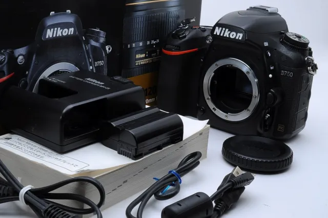 Canon ELPH 530 HS vs Nikon P520 Detailed Comparison