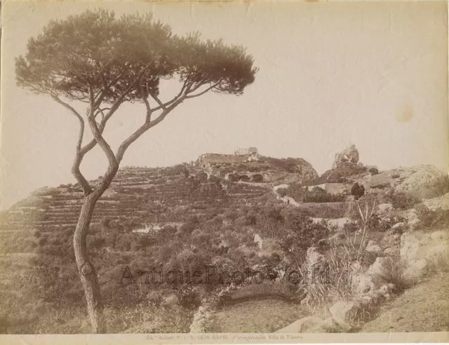 Campania Capri view Villa Tiberio antique albumen photo by Alinari Italy