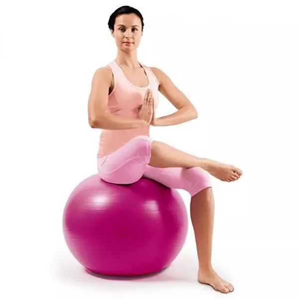 Gym Ball Pallone 65 Cm Per Esercizi Palestra Bellezza Salute Pilates Gymball 346