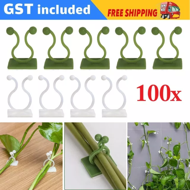 100PCS Invisible Plant Climbing Wall Clip Sticky Hook Vines Fixing Rattan Clips