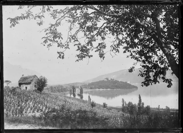 Antique photo glass plate negative 6x9 cm vineyard lake Culoz, flat glass