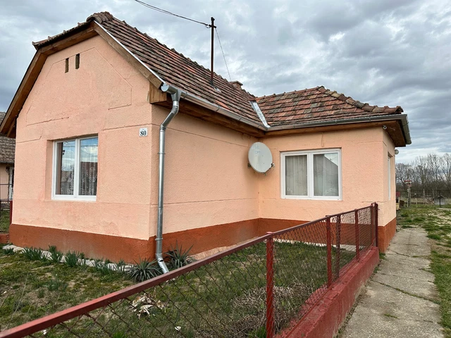 Haus in Pusztakovácsi 35 km von Plattensee